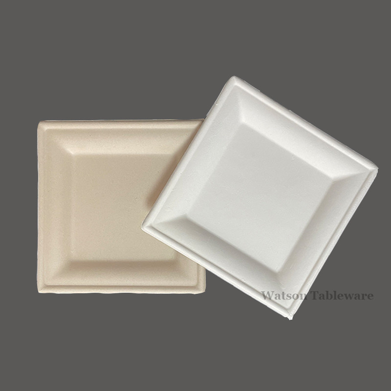 6′′ 8′′ 10′′disposable Biodegradable Bagasse Sugarcane Tableware Pasta Paper Rectangle Square Plate