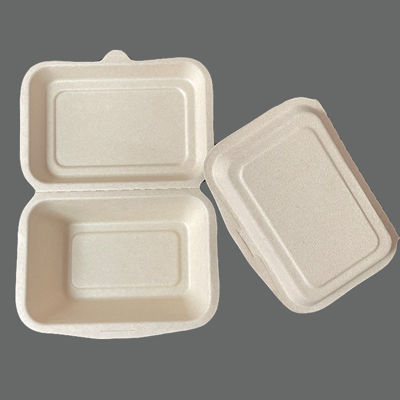 7*5 Inch Wholesale 600ml Sugarcane Container Biodegradable Bagasse Take-Away Envase