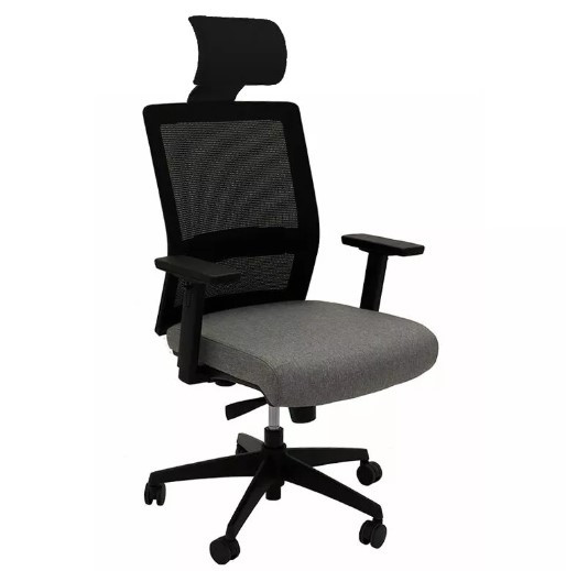 Alton Promesh Mesh Back Office Chair with Headrest