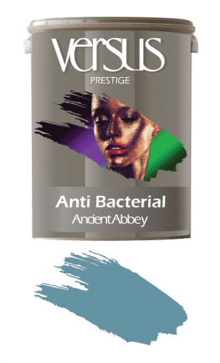 Anti Bacterial Paint