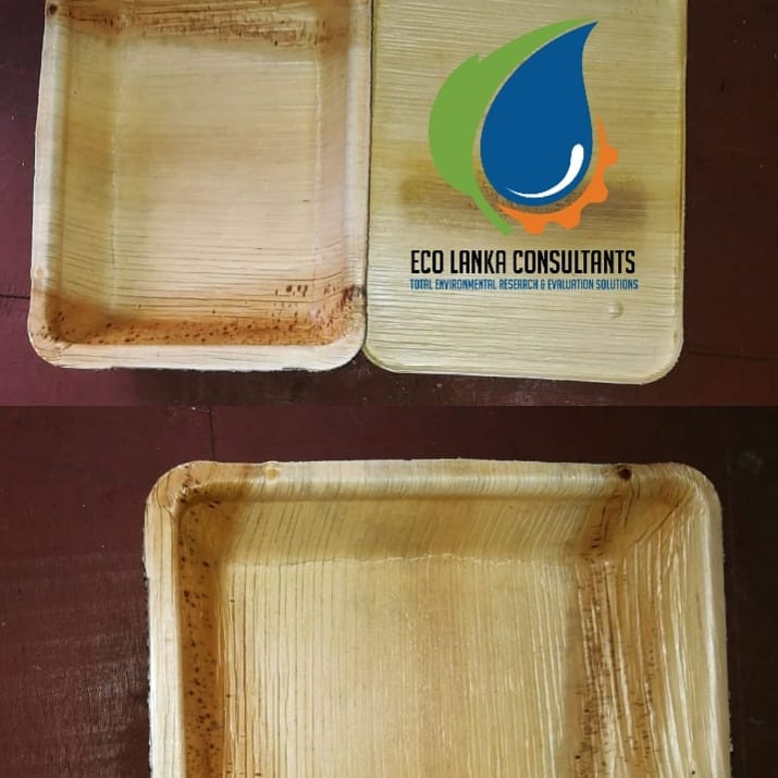 Arecanut Food Container & Plates