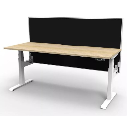 Arise Electric Height Adjustable Sit Stand Desk Series 2 Update – with Screen Divider