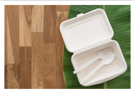 Bagasse Biodegradable Food Packing Boxes