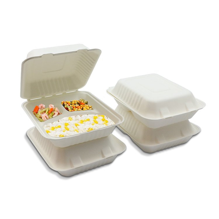 Bagasse Sugarcane Food Containers