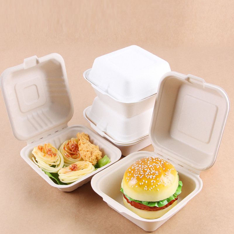 Bagasse Sugarcane Paper Pulp Biodegradable Salad Lunch Box Disposable Hamburger Cake Food Container
