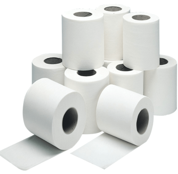 Bamboo Toilet Paper  White