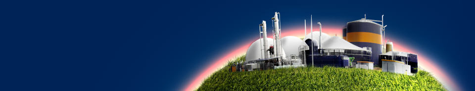Bio Fuels & Bio Gas