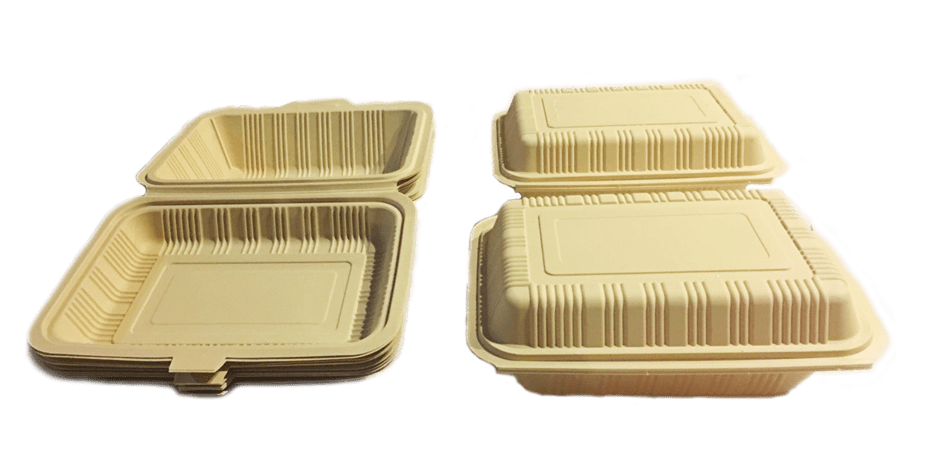 Biodegradable and Compostable Lunch Boxes