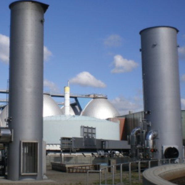 Biogas Flare