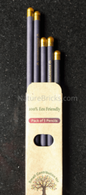 Black Color Seed Pencil With Golden Cap Premium : Pack of 5