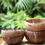 Coconut Bowl Classic- Natural