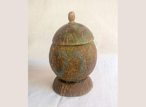 Coconut shell Containers