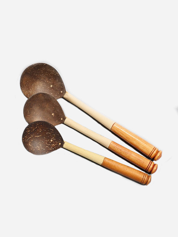 Coconut Spoon Set