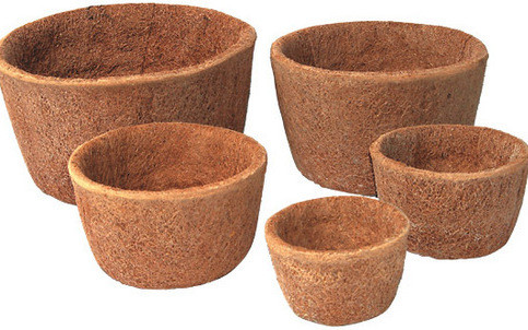 Coir Pots A Horticultural Production by Colombo Quality Products