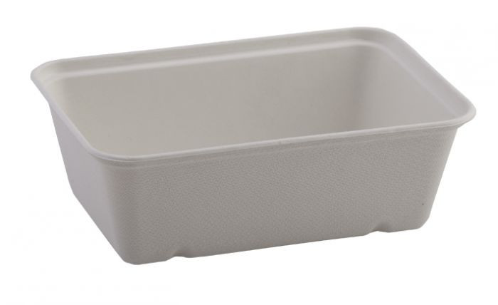 Compostable Bagasse Container