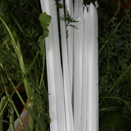 Compostable PLA Straws with a paper cover.