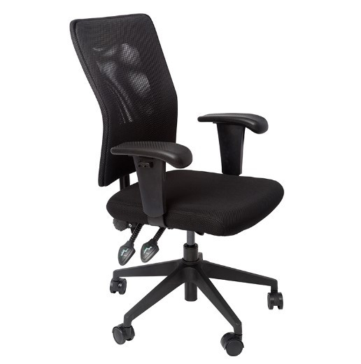 Corang High Back Ergonomic Office Chair