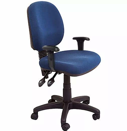 Denise Medium Back Fully Ergonomic Office Chair