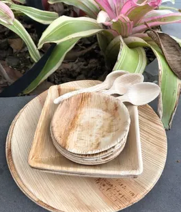 Disposable Areca Palm Tableware