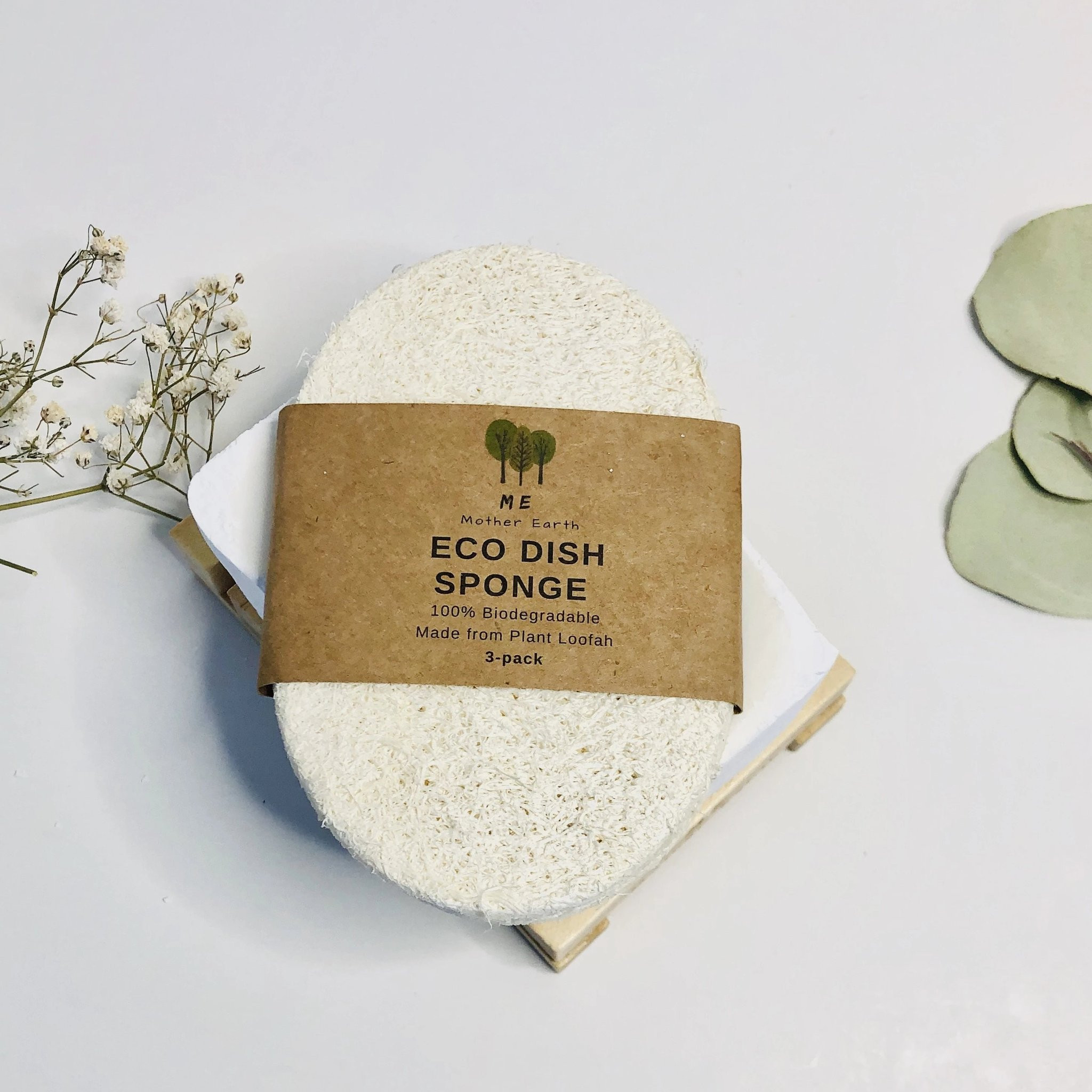 Eco Dish Sponges: