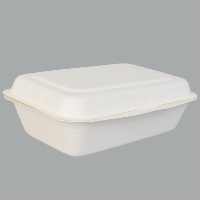 Eco-friendly Bagasse Pulp Container