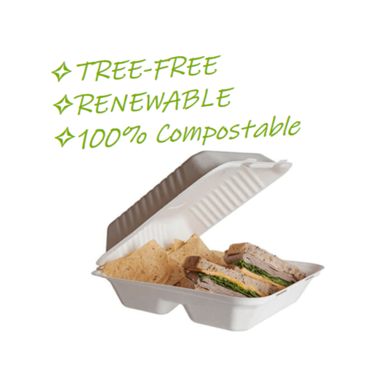 Eco-Friendly Bagasse Takeaway Containers