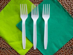 Eco-Friendly Disposable Forks