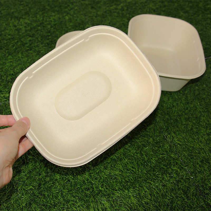 Eco Friendly Lunch Boxes Disposable Cake Holder Biodegradable Food Container With Lid