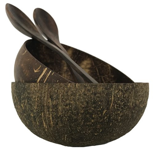 Eco-Friendly Natural Coconut Bowl Rough with Dark Wood Spoon & fork – CB26