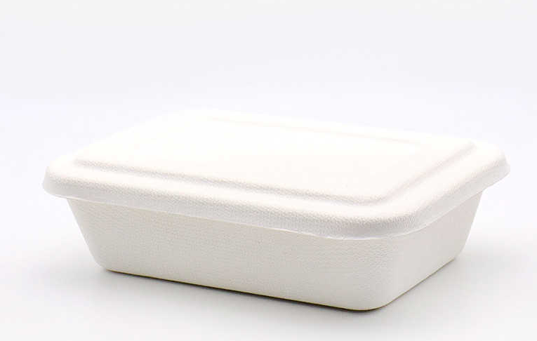 Eco Friendly Pulp Mold Food Container