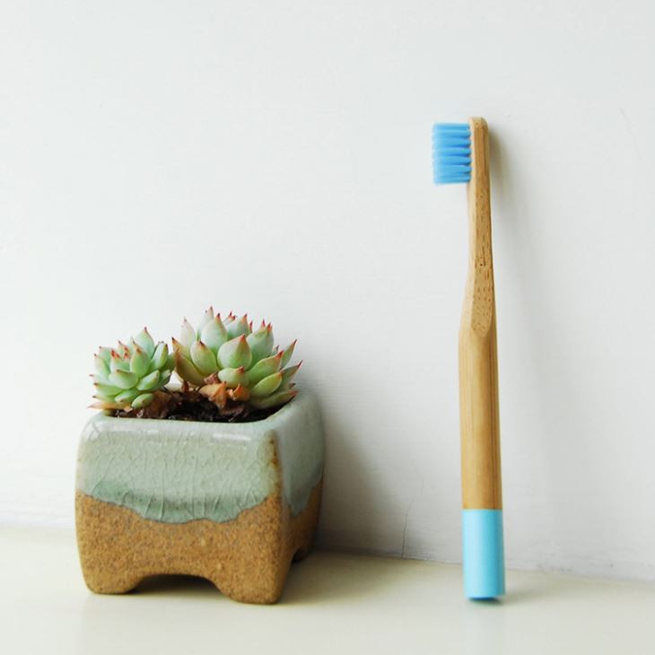 Environmental Bamboo Toothbrush