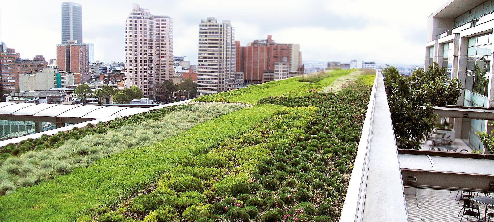 Extensive Green Roof - Urban Climate Roof