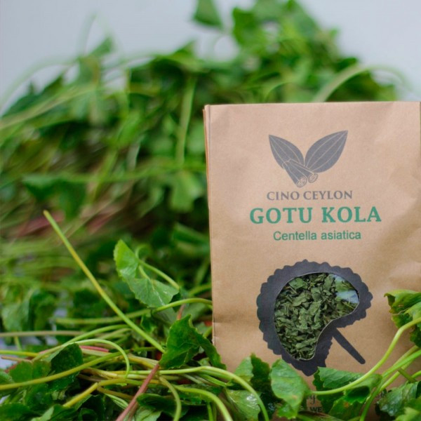 Gotu Kola (Centella asiatica) - Cut