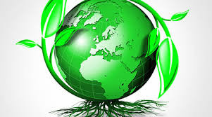 Green Market Intelligence & Research
