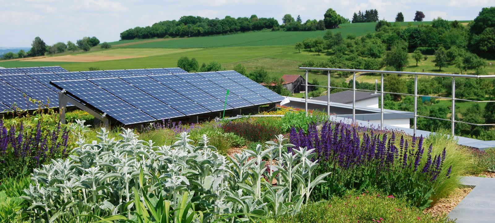 Green Roofs and Solar Energy