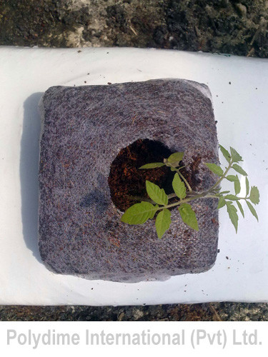 GROW CUBES - out of non woven fabric