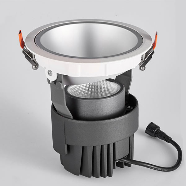 HALO Directional Downlight