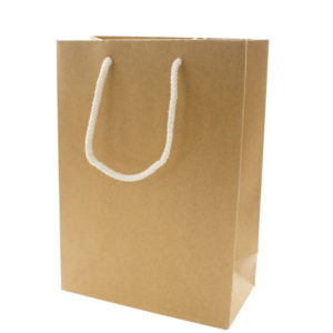 Kraft Gift Bags With Two Rope Handles (Reinforced Top & Base)