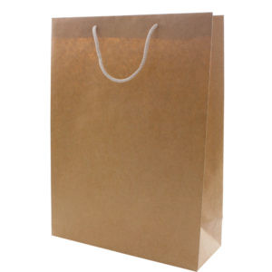 Kraft Gift Bags With Two Rope Handles (Reinforced Top & Base)