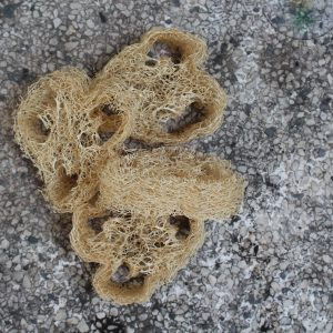 Loofah 100%Natural Sponge
