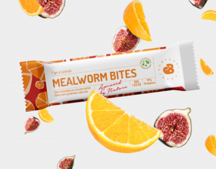 Mealworm Bites - Orange and Fig (Pack 6)