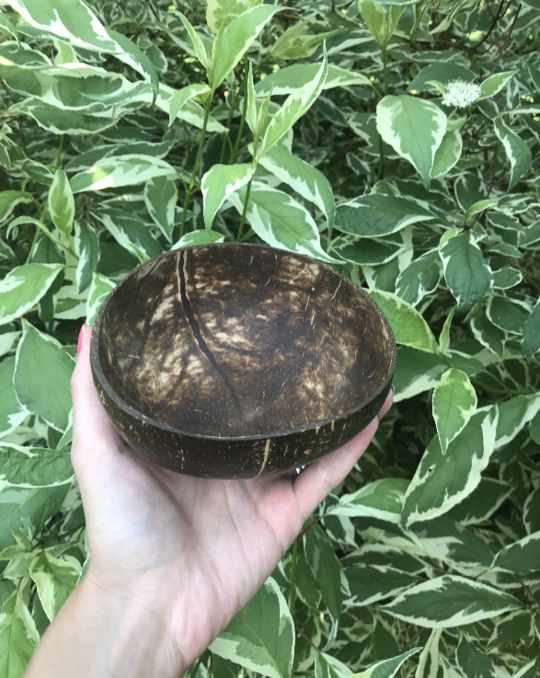 Natural Coconut Bowl and Spoon