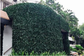 Natural Green Wall