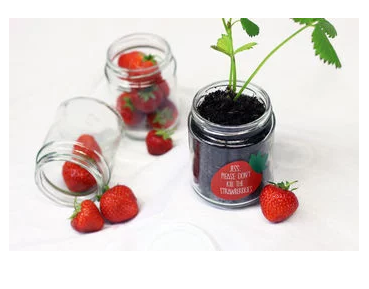 Personalised 'Don't Kill Me' Strawberry jar