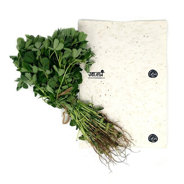 Plantable Seed Cover Paper Notebook