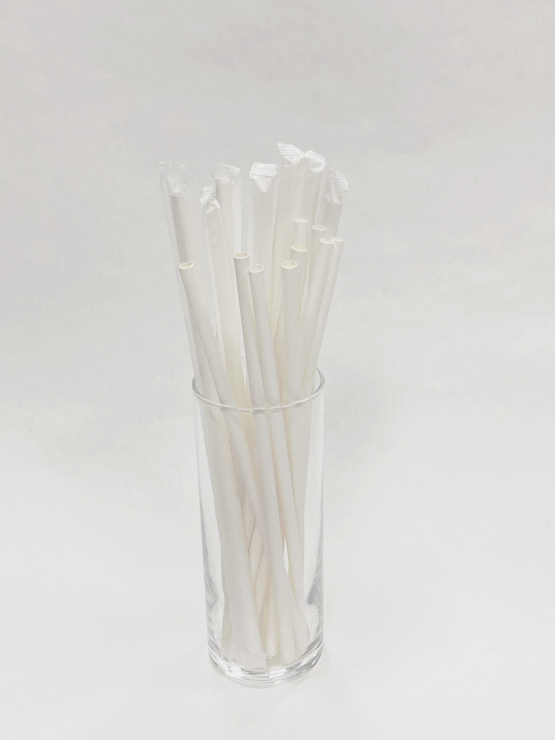 Single Packaging Straw