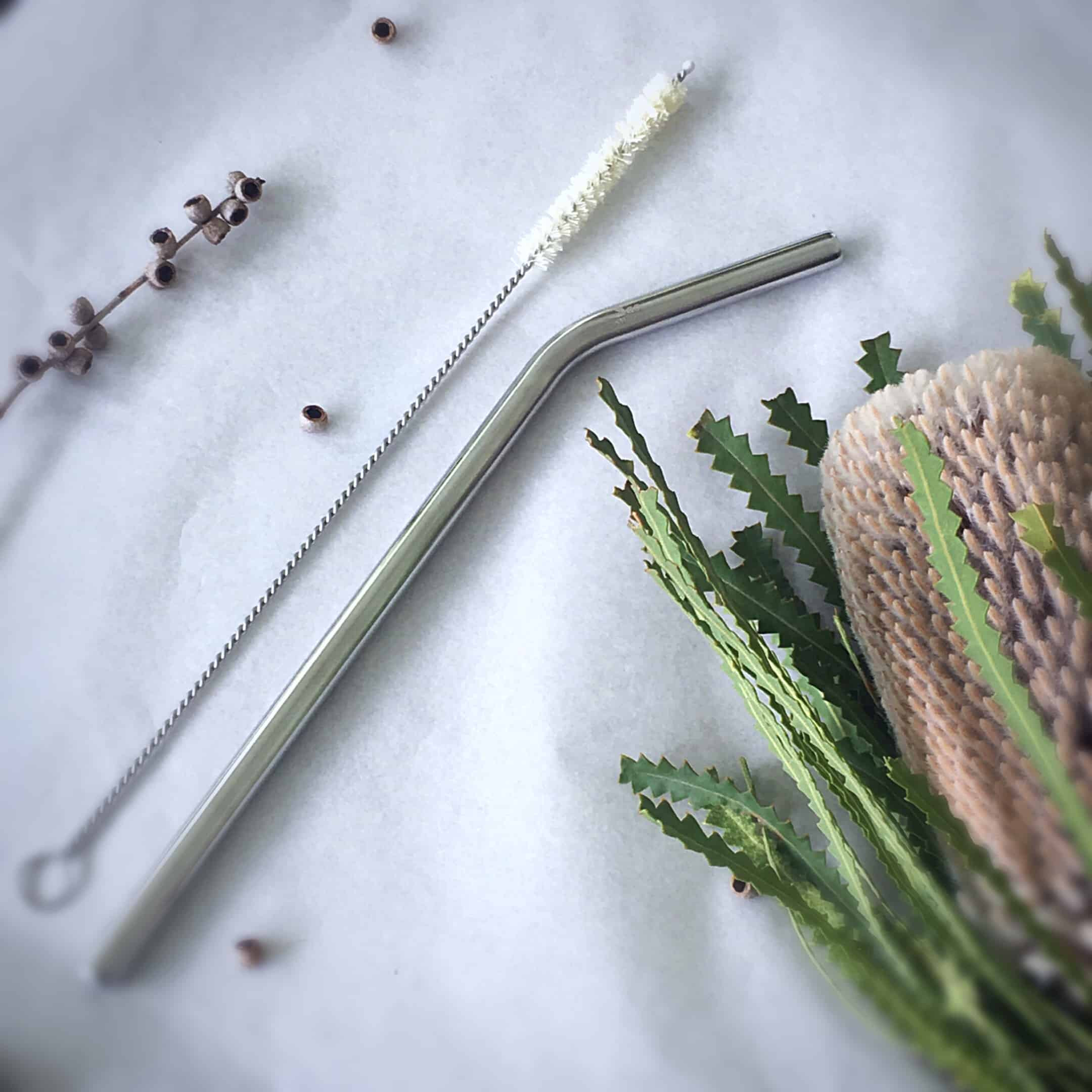 Stainless Steel Straw with Plastic Free Brush