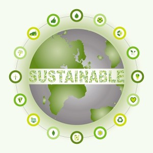 Sustainability Consultancy