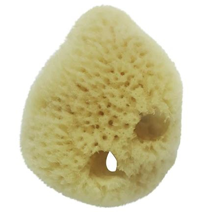 Sustainable Sponges - Natural Facial Sponge
