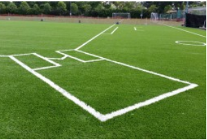 THE SPORTS SURFACES SPECIALISTS